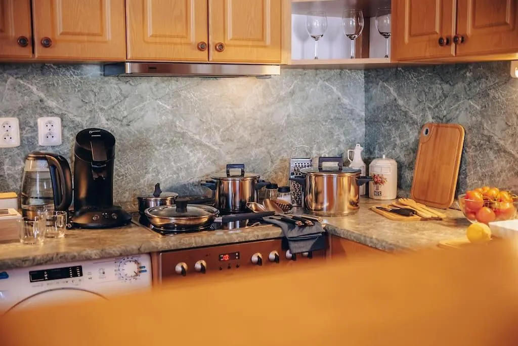 شقة Magnificent Historical Penthouse In The Heart Of براغ 0*,